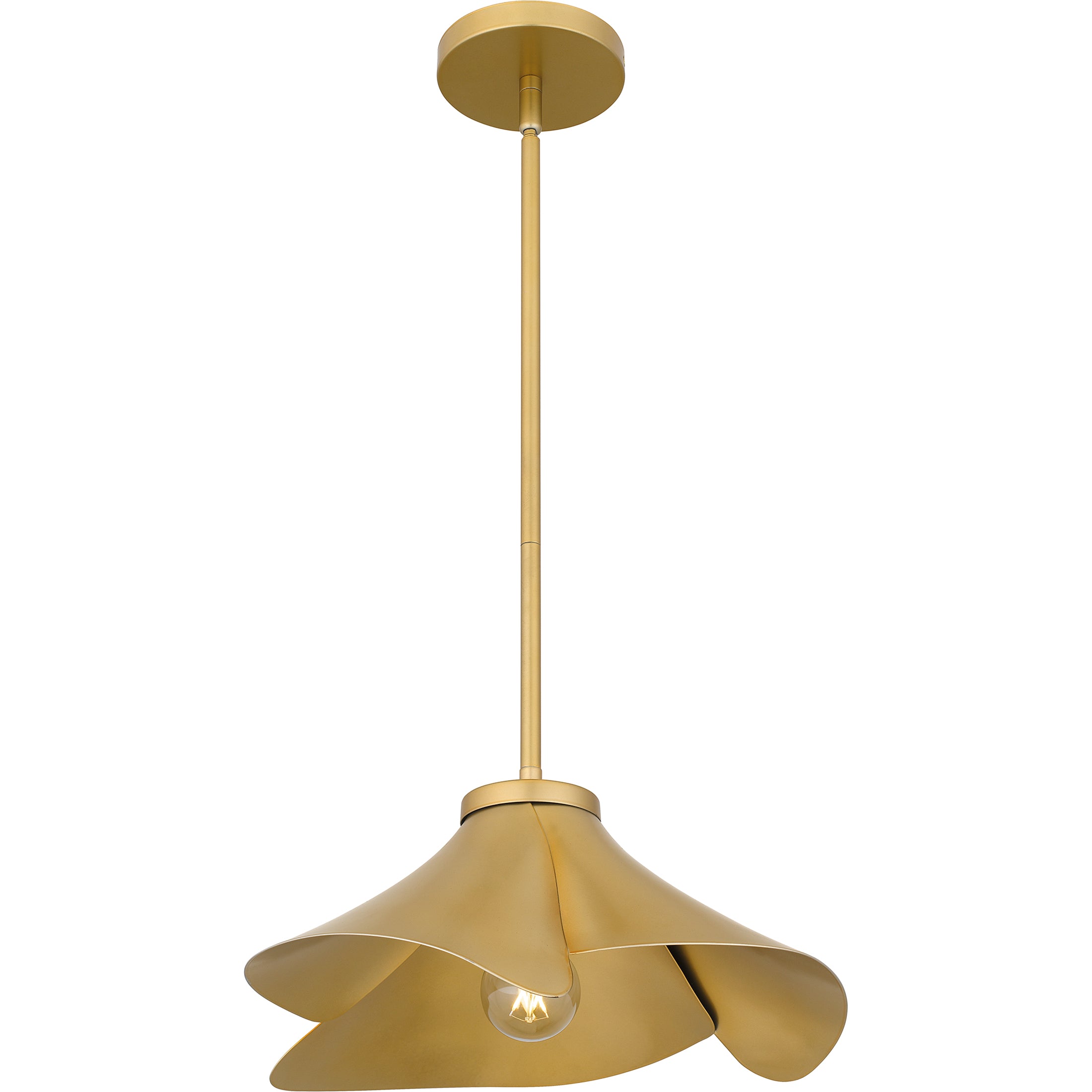 Quoizel Wisp závěsná lampa matná černá zlatá