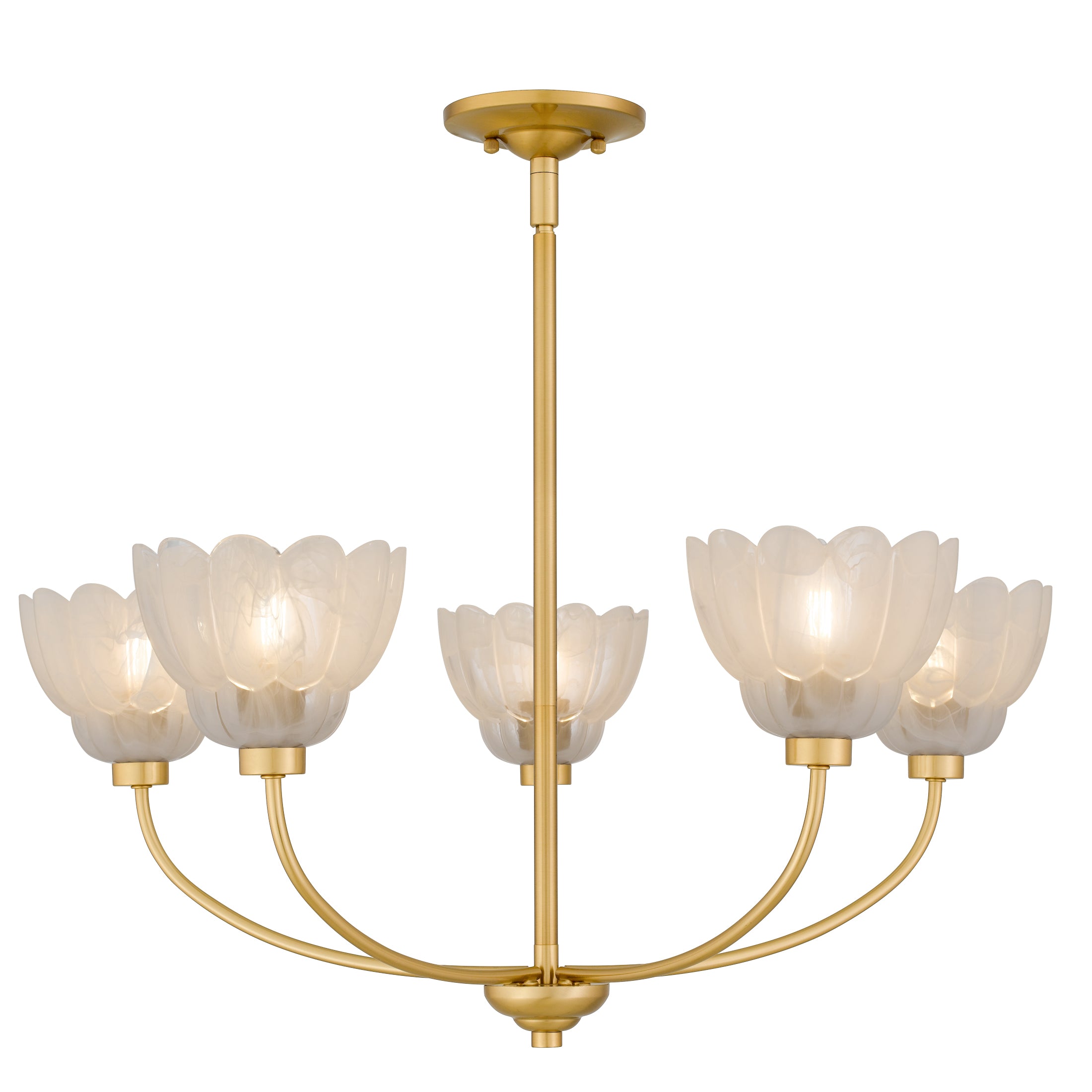 Quoizel Whitecap Chandelier lustr hnědá jantar sklo
