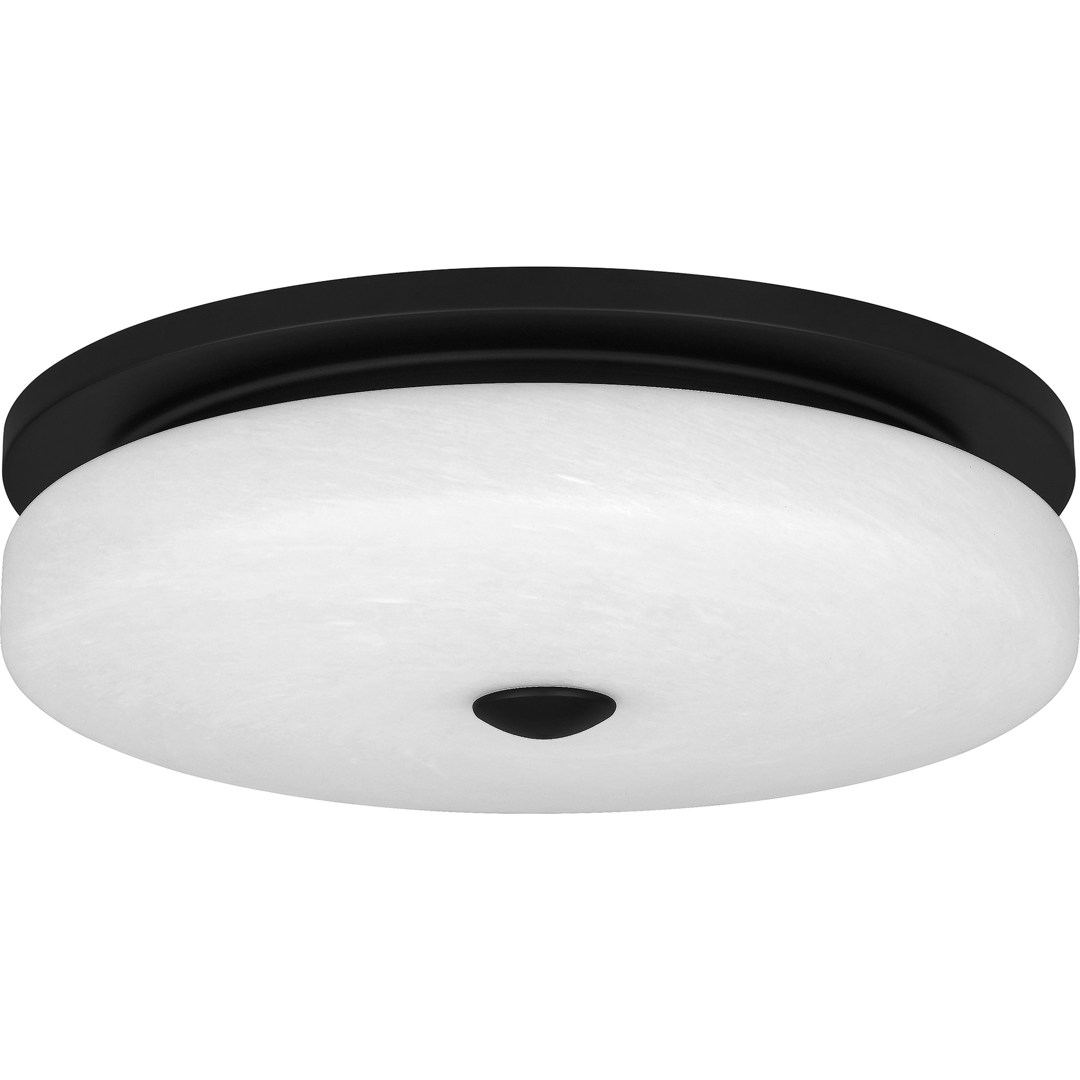 Quoizel Tavani Flush Mount stropní svítídlo black LED
